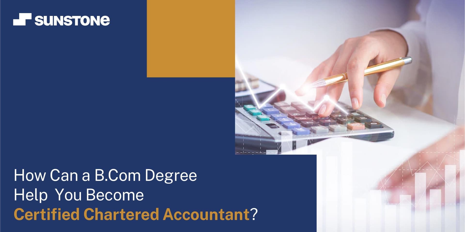 Pursuing CA after B.Com in India: The Complete Guide