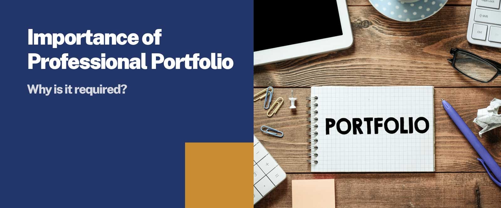 Importance of Professional Portfolio: Why it is required? 
