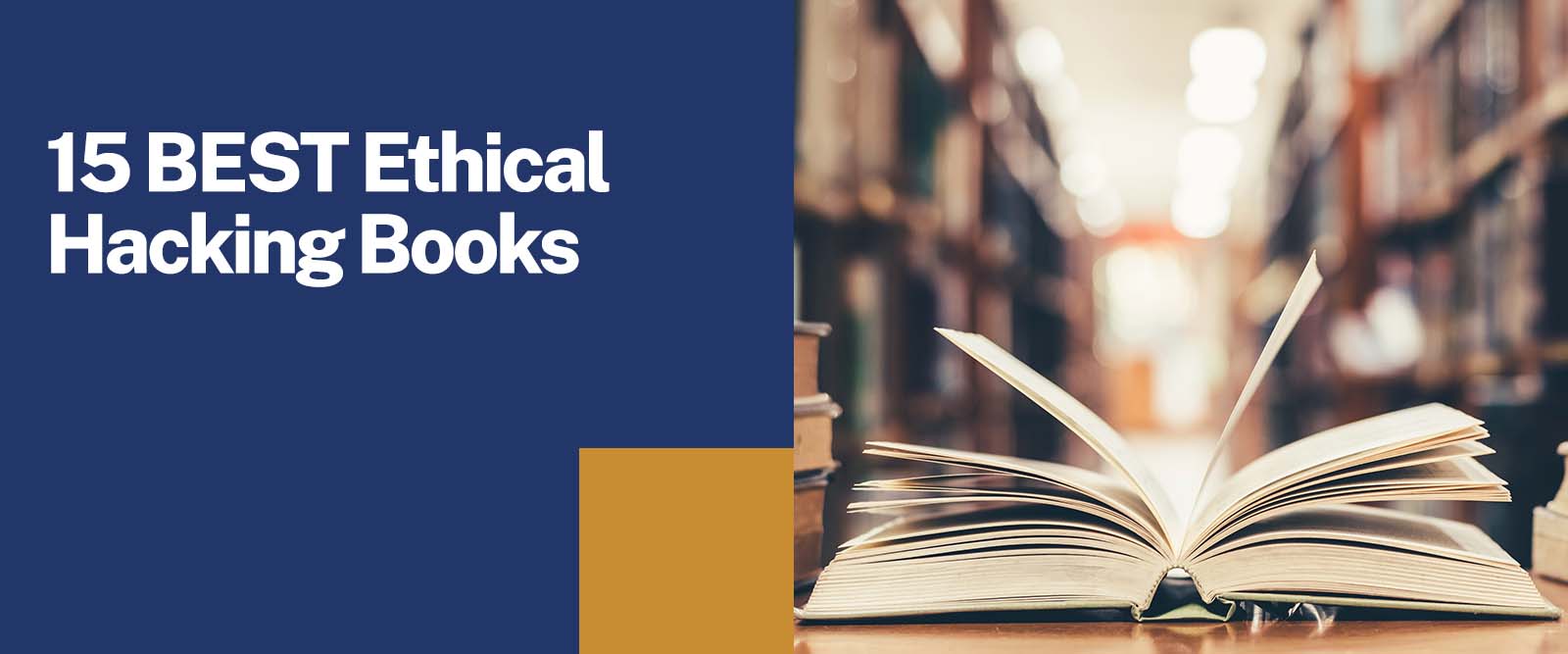 Fifteen Ethical Hacking Tools