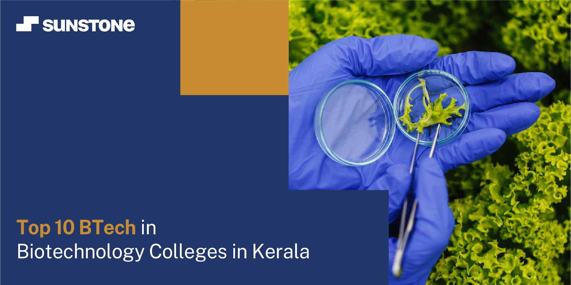 Top 10 BTech in Biotechnology Colleges in Kerala