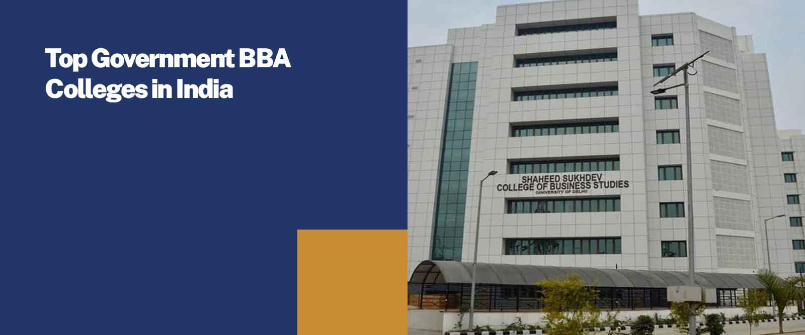 Top Government BBA Colleges in India